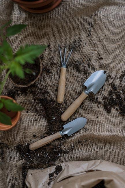 Image about Can In-Ground Soil Be Used in Pots? Exploring the Debate