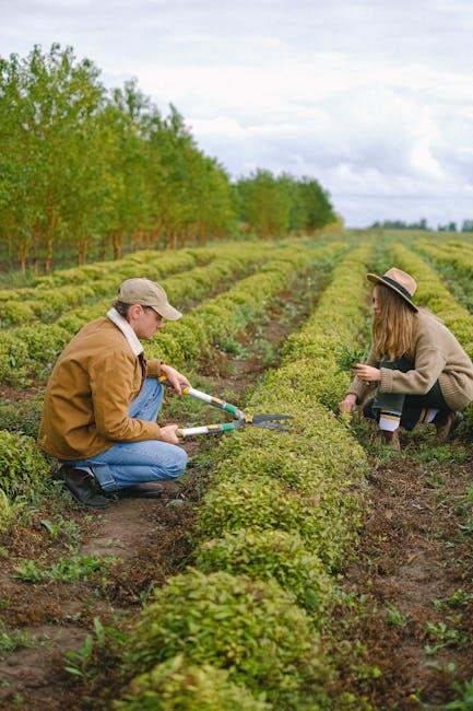 The Ultimate Guide to Garden Tool Sharpening Services: DIY vs Professional