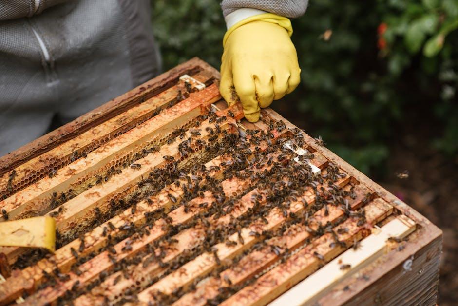 Image for Is Polyurethane Safe for Raised Garden Beds? Exploring the Environmental Impact and Toxicity Concerns