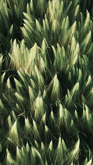 Image about Mastering Wheat Cultivation: A Comprehensive Guide