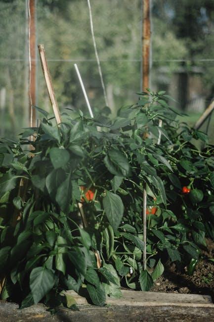 Ultimate Guide to Raised Bed Gardening: Tips, Materials, and Design