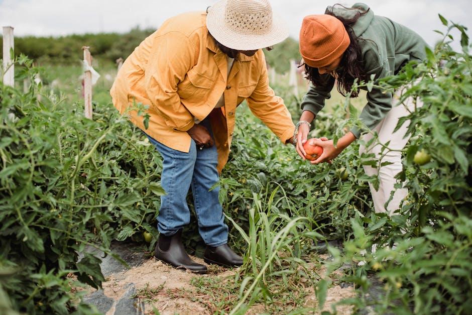 Image about Preparing a Vegetable Garden Bed: A Step-by-Step Guide