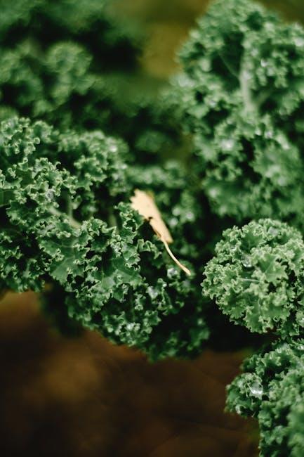 Image for Understanding What Eats Kale in Your Garden: A Comprehensive Guide