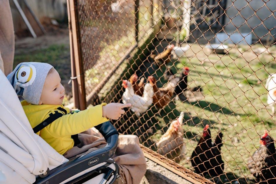 image about Effective Strategies to Keep Chickens Out of Your Yard