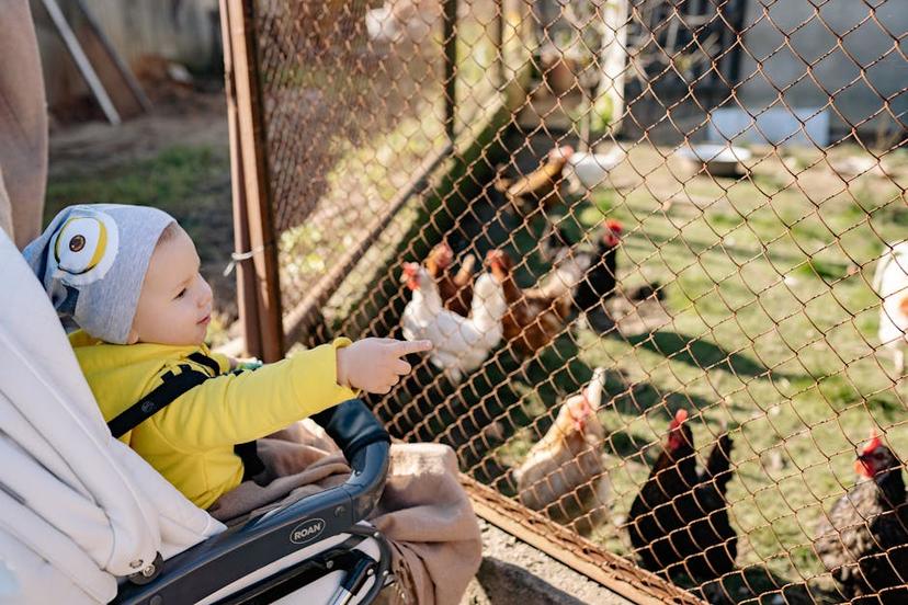 Effective Strategies to Keep Chickens Out of Your Yard