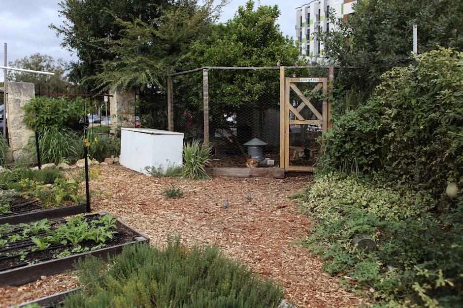 Image about Effective Methods to Keep Chickens Out of Your Garden