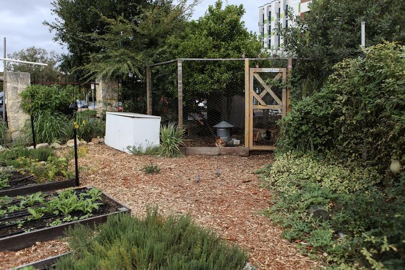 Ultimate Guide to Garden Planning: Steps to Cultivate Your Dream Garden