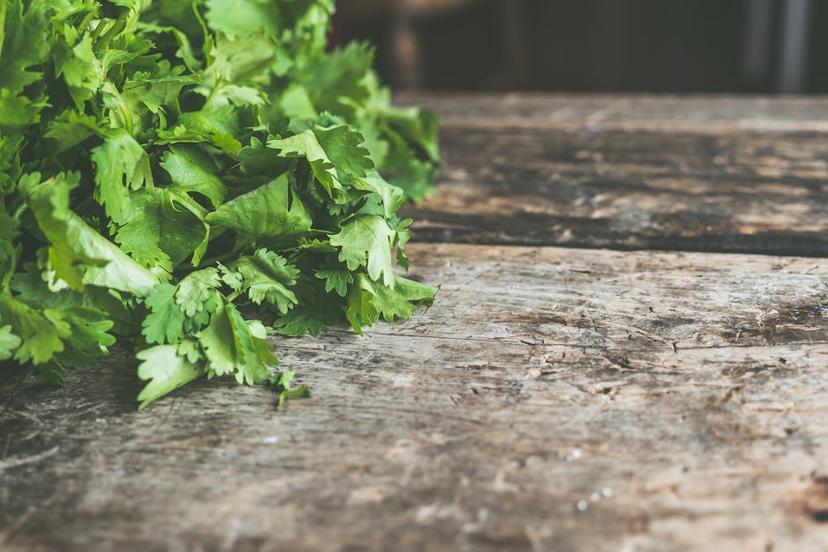 Building a Wooden Vegetable Garden: A Step-by-Step Guide