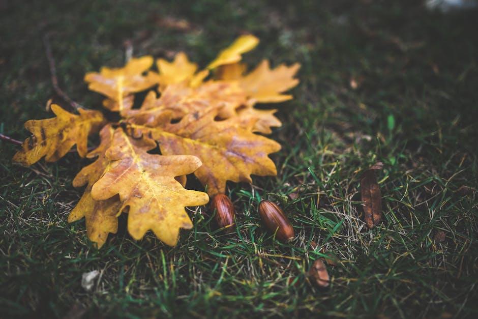 Image about The Ultimate Guide to Using Oak Leaves as Mulch in Your Vegetable Garden