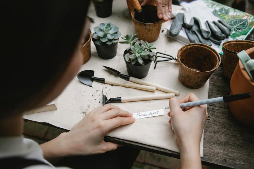 Exploring Laura LeBoutillier's Age in the Gardening World