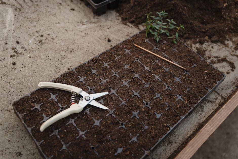 Image about Unlocking the Secrets of Miracle-Gro Hose Feeder: A Gardener's Guide