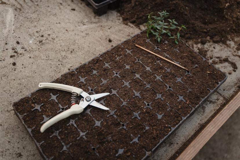 Unlocking the Secrets of Miracle-Gro Hose Feeder: A Gardener's Guide