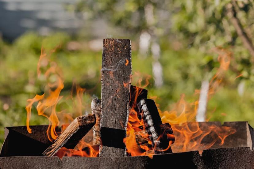 Using Charcoal Ash in the Garden: Benefits, Precautions, and Alternative Uses