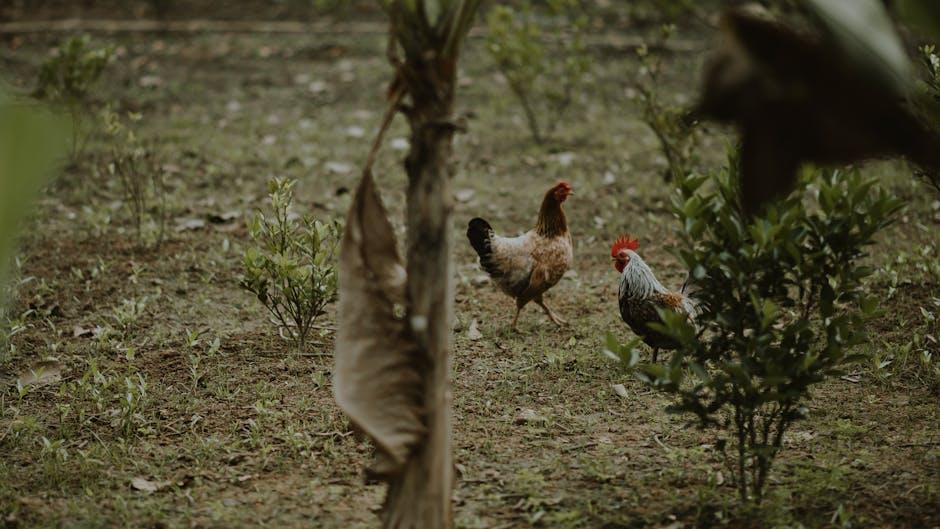 Image about How to Keep Chickens Out of Your Garden: A Comprehensive Guide