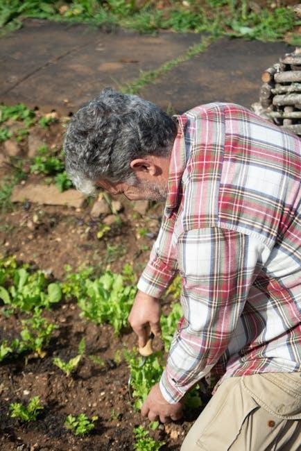 Image about Planning a Vegetable Garden Layout with Raised Beds: A Step-by-Step Guide