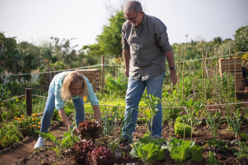 Harnessing AI for Garden Management: Solutions for Common Gardening Challenges