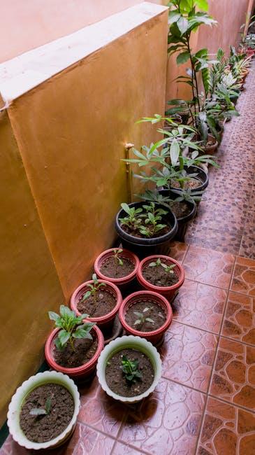 The Benefits of using Above Ground Gardening Containers