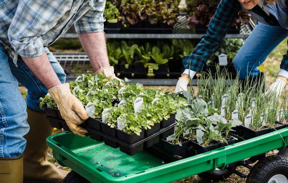 Creating Your Perfect Garden Seating Area: A Comprehensive Guide