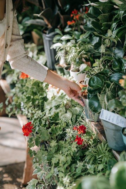 Image about Is Aluminum Safe for Raised Garden Beds? Pros and Cons