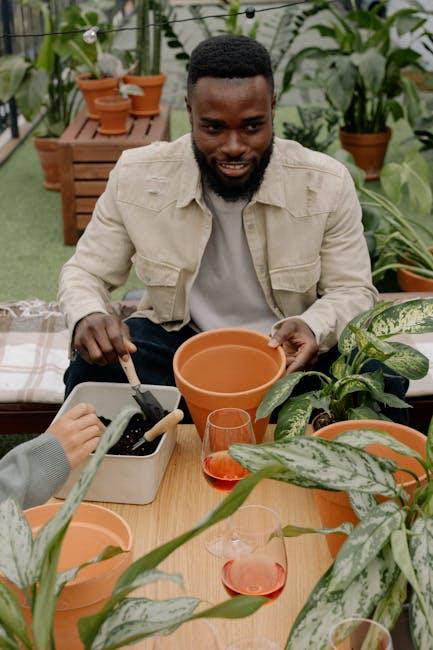 Image about A Beginner's Guide to Using Wooden Vegetable Planter Boxes