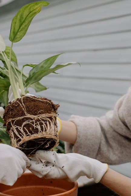 Elevated Planter Box: Designs, Benefits, and How to Build