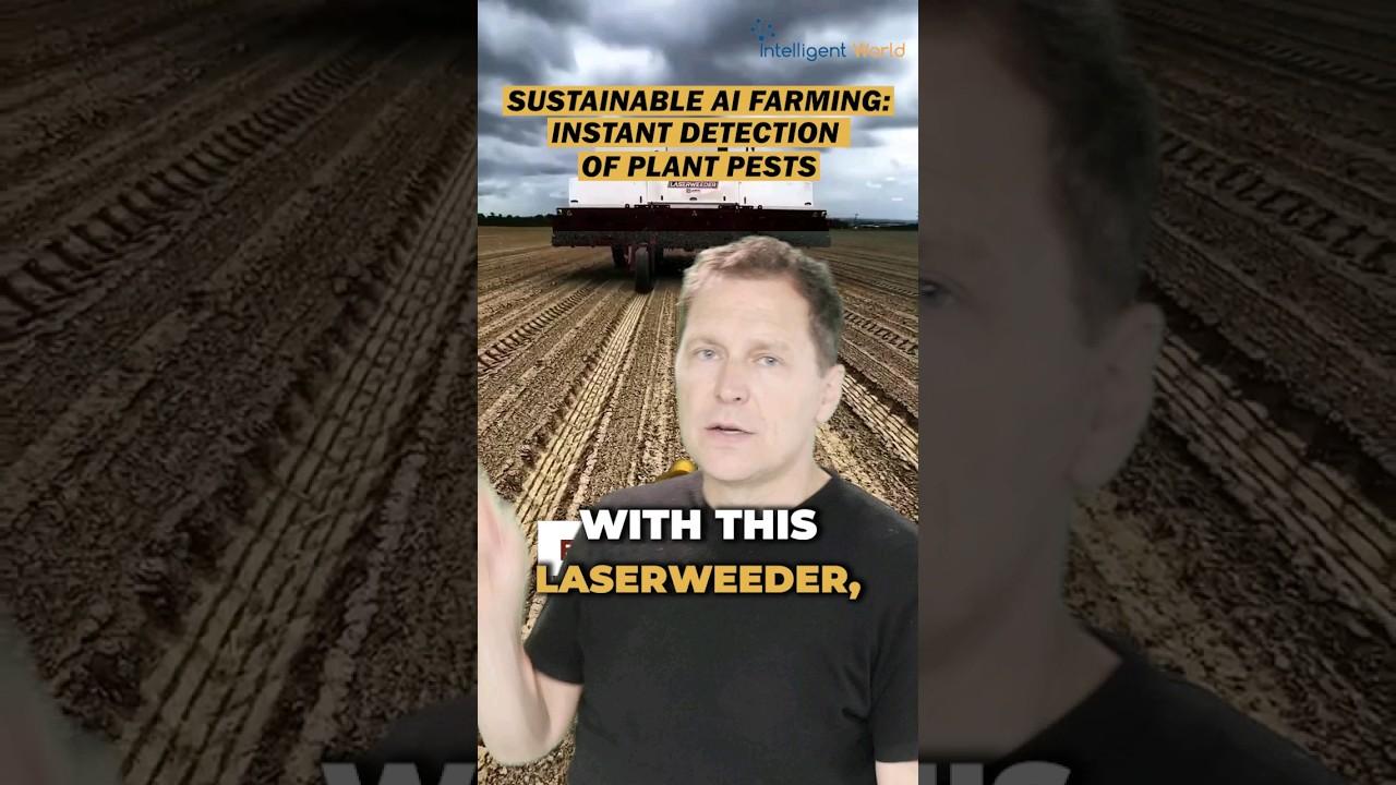 Embedded video