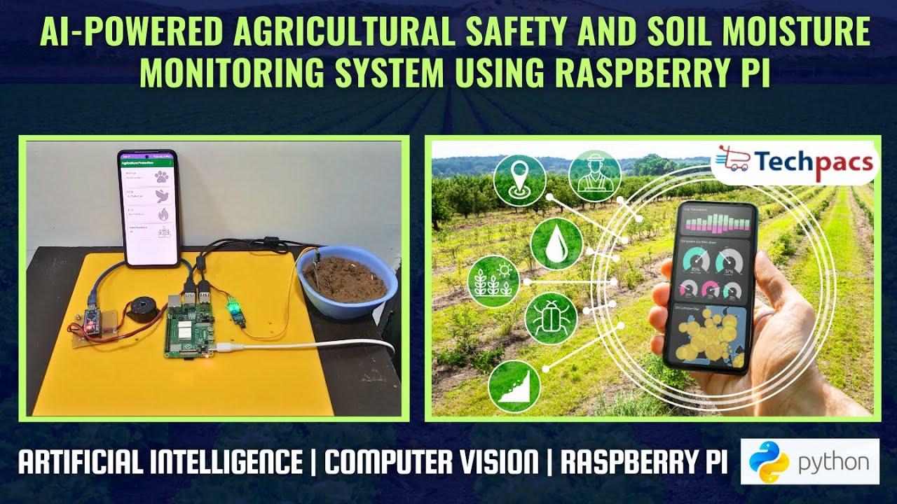 Embedded video