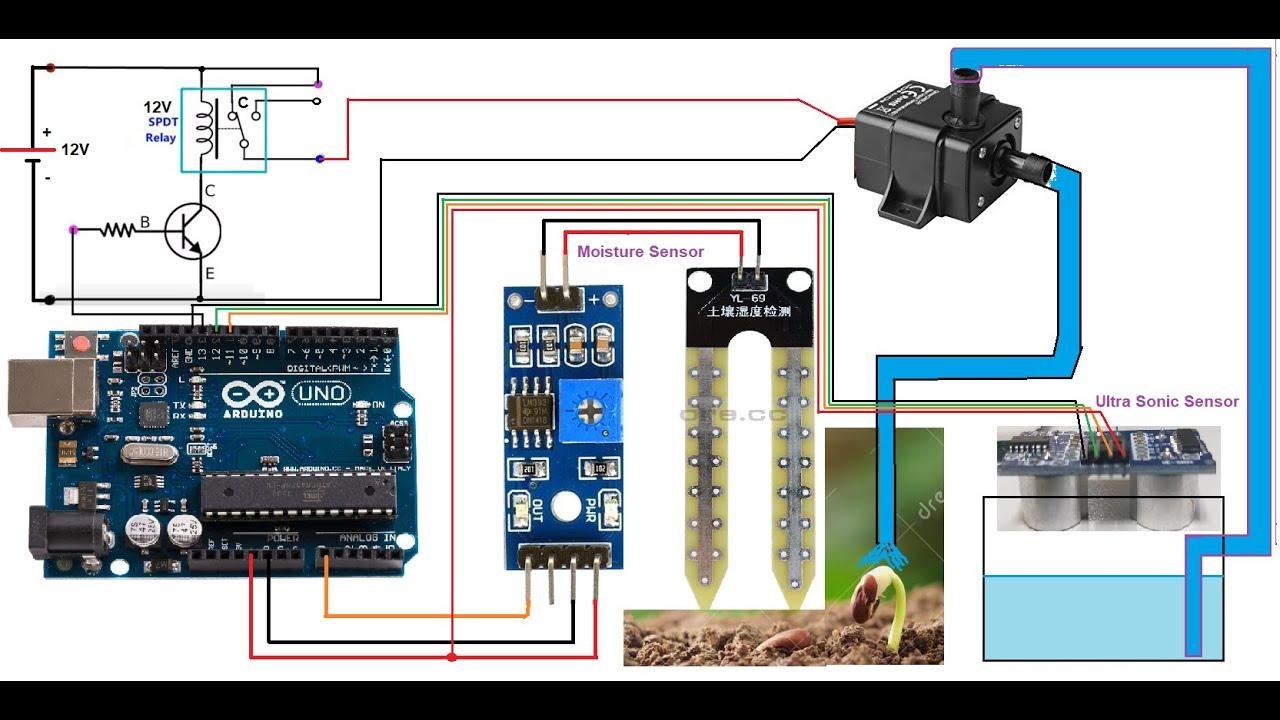 Embedded video