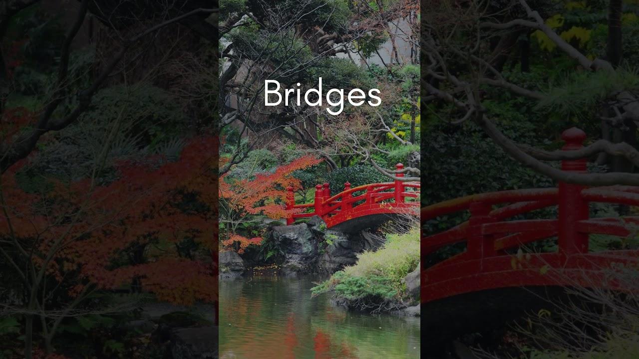 Embedded video