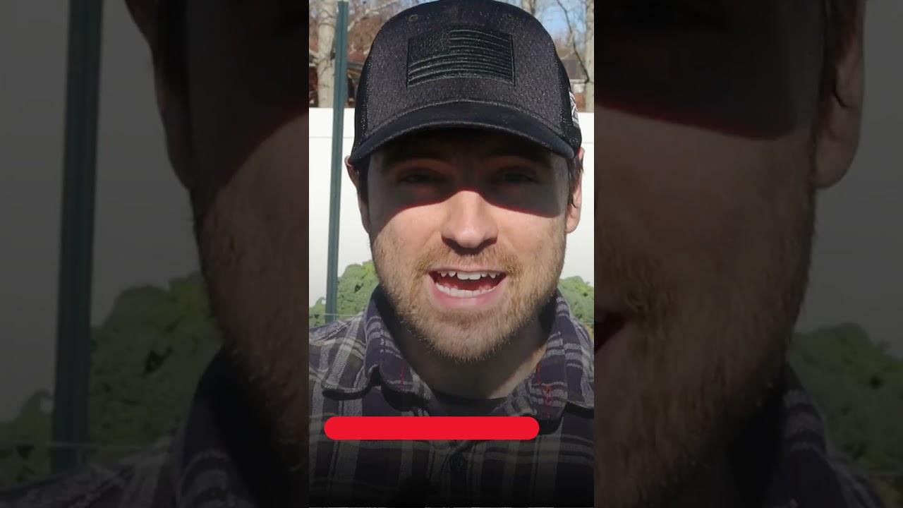 Embedded video