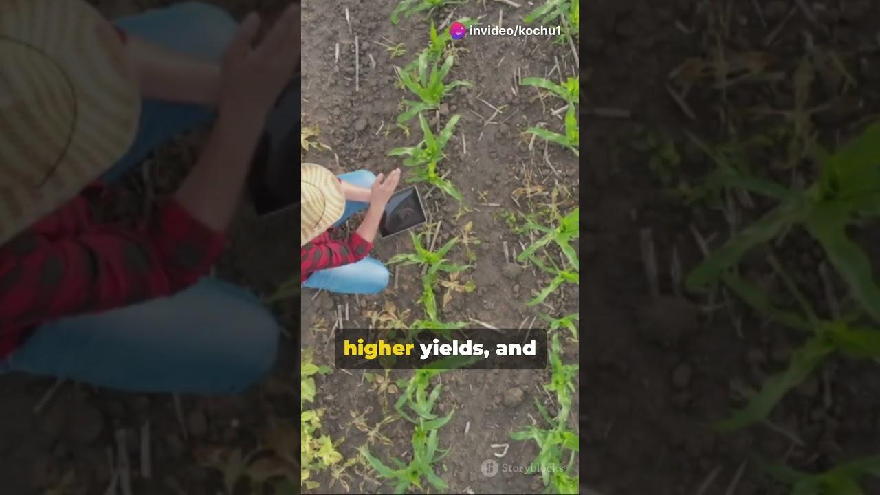 Embedded video