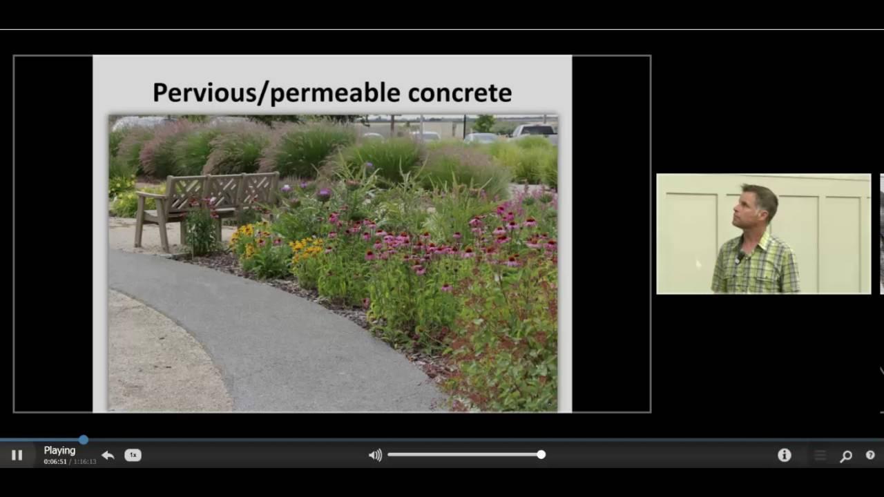 Embedded video