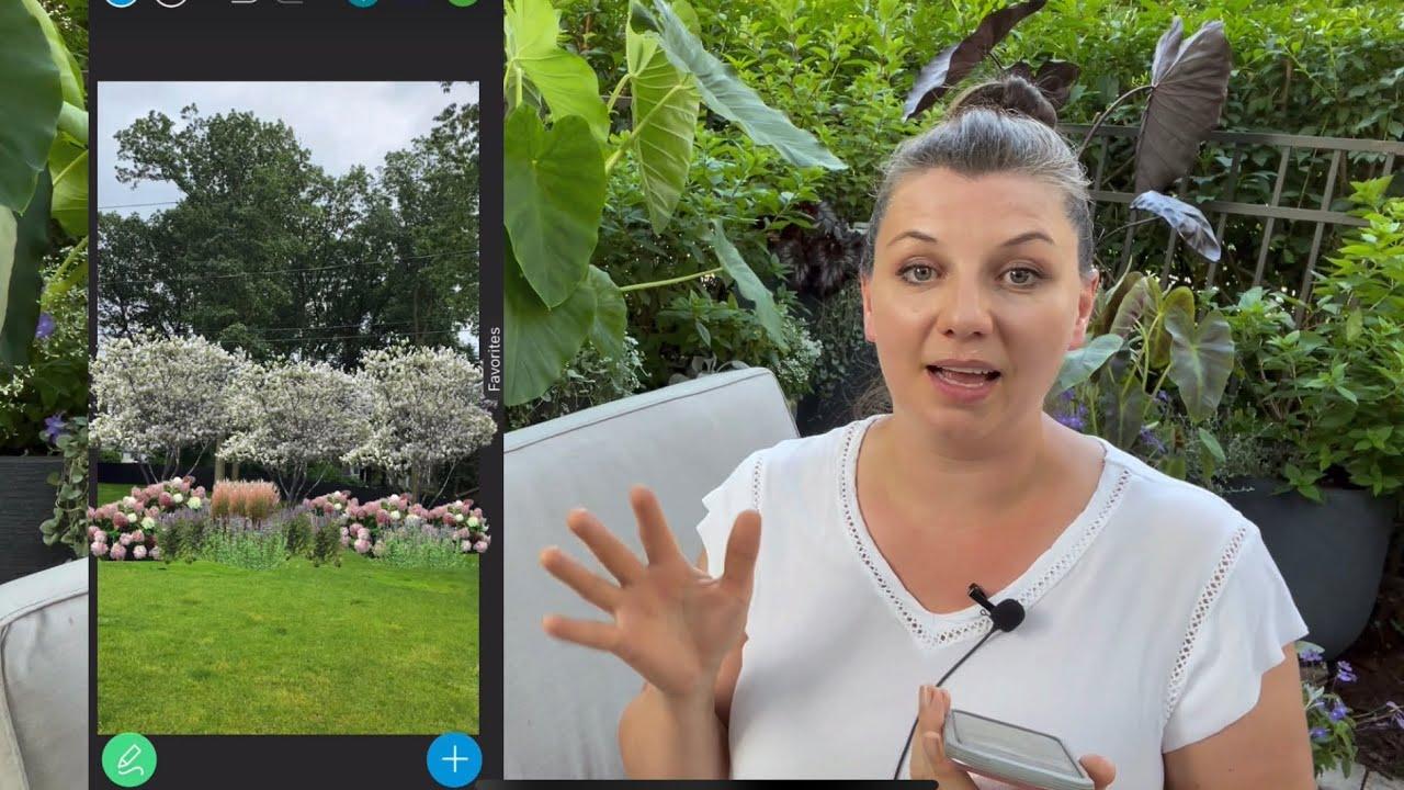 Embedded video