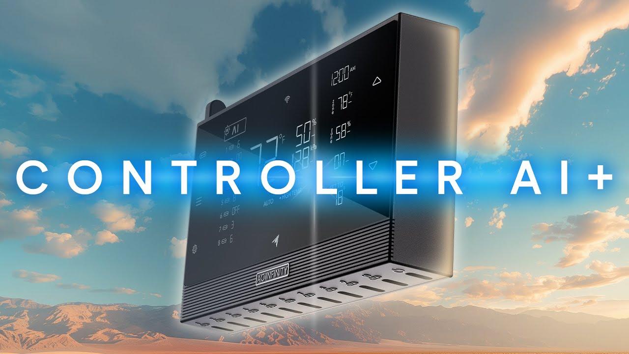 Embedded video
