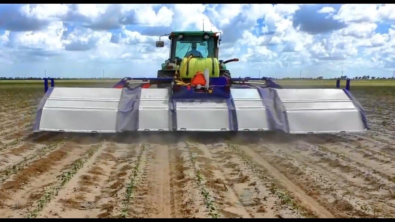 Embedded video