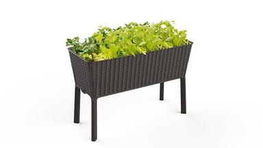 Keter Splendor 31.7 Gallon Raised Garden Bed with Self Watering Planter Box and Drainage Plug-Perfect for Growing Fresh Vegetables, Flowers and Herbs, Brown image