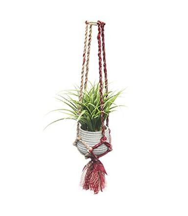 Matr Boomie Upcycled Assorted Muliticolor Sari Fabric Macrame Plant Hanger Indoor Hanging Planter Basket with Tassels for Indoor Outdoor Boho Home Decor 24 Inch, Holds 6" Pot (Pot not Included) image