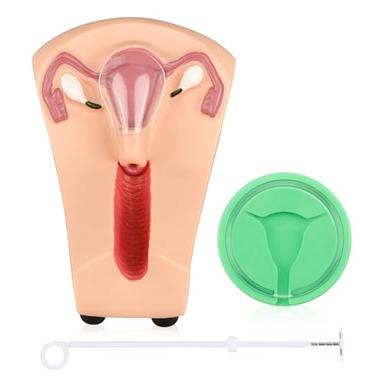 SimCoach Intrauterine Device Training Kit, IUD Training Model, Female Intrauterine Contraceptive Device Simulator Trainer image