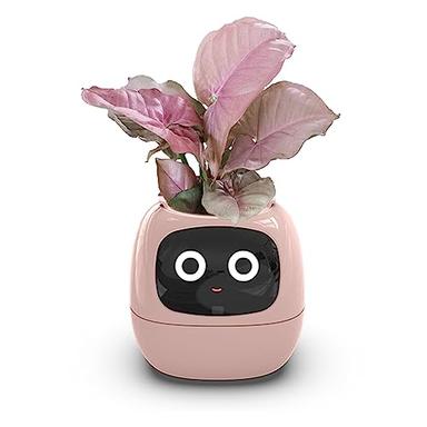 Itigoitie Smart Flowerpots,Smart Pet Planter,Ai Planter,Intelligent Flowerpots,Multiple Expressions,7 Smart Sensors, and Ai Chips Make Raising Plants Easy and Fun for Living Room,Plant-Free(Pink) image