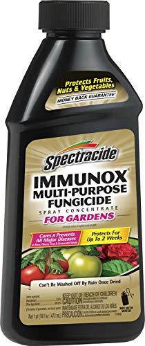 Spectracide Immunox Multi-Purpose Fungicide Spray Concentrate For Gardens 16 Ounces, Protects Up To 2 Weeks image