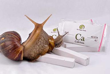 Organic Calcium for Pet Snails (3 Sticks) - for All Types of Land Snails : Garden Snail, Giant African Snail, Helix Aspersa, Pomatia etc image