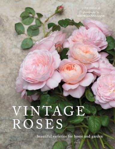 Vintage Roses: Beautiful Varieties for Home and Garden image