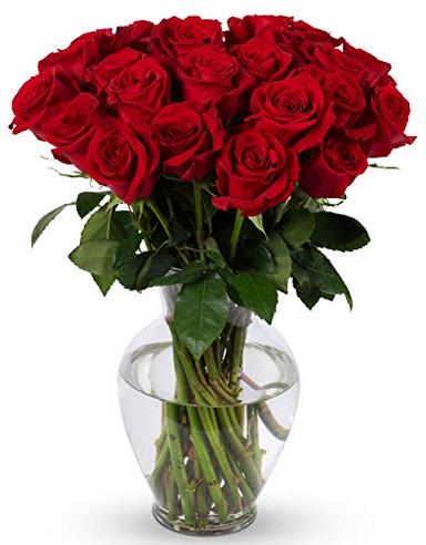 BENCHMARK BOUQUETS - 24 Stem Red Roses (Glass Vase Included), Next-Day Delivery, Gift Fresh Flowers for Birthday, Anniversary, Get Well, Sympathy, Graduation, Congratulations, Thank You image