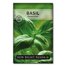 Sow Right Seeds - Genovese Sweet Basil Seed for Planting - Non-GMO Heirloom Packet with Instructions to Plant and Grow a Kitchen Herb Garden - Indoors or Outdoor - Great for Hydroponic Gardening (1) image