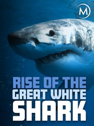 Rise of the Great White Shark image