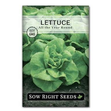 Sow Right Seeds - All The Year Round Lettuce Seeds for Planting - Non-GMO Heirloom Packet with Instructions to Plant a Home Vegetable Garden - Outdoors or Hydroponics Indoors - Butter Variety (1) image