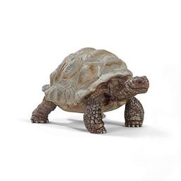 Schleich Wild Life Realistic Exotic Galapagos Giant Tortoise Figurine - WIld Animal FIgurine Giant Tortoise Toy for Wildlife Play and Imagination for Toddlers Boys and Girls, Gift for Kids Age 3+ image