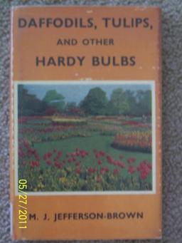 Daffodils, Tulips, and Other Hardy Bulbs image