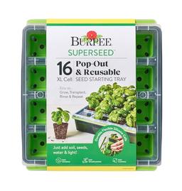 Burpee SuperSeed Seed Starting Tray | 16 XL Cell | Reusable & Dishwasher Safe | for Starting Vegetable Seeds, Flower Seeds & Herb Seeds | Indoor Grow Kit for Deep-Rooted Seedlings, Green image