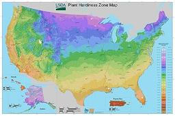 United States Plant Hardiness Zone Map Poster Print - Photo Poster Art Print - 24 x 36 in image